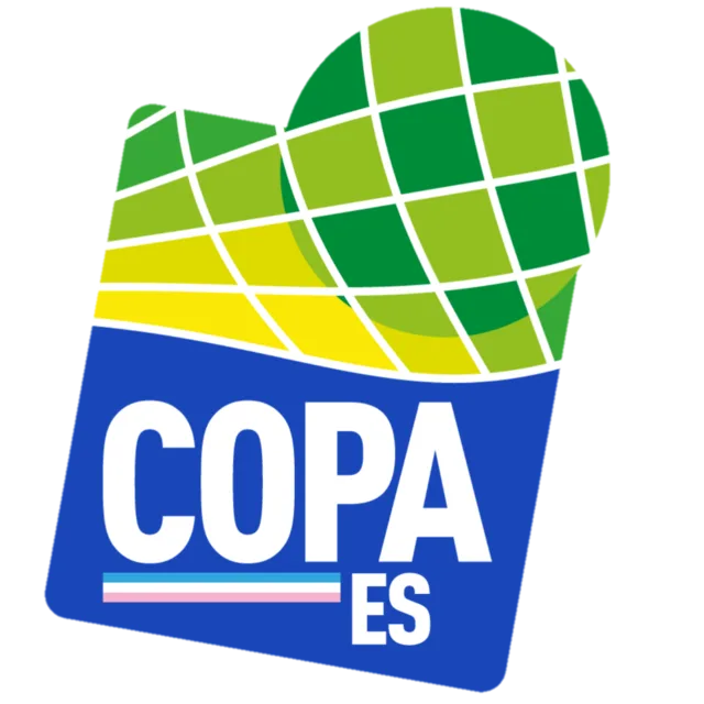 Copa Espírito Santo logo