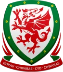 League Cup logo