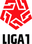 Primera División logo