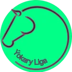 Ýokary Liga logo
