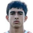 A. Gareginyan