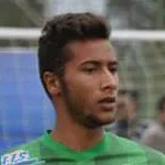 A. Harzi
