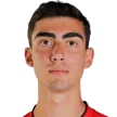 A. Vardanyan