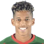 André Vidigal
