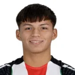 B. Araneda