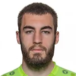 D. Chernyshev