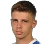D. Lukić