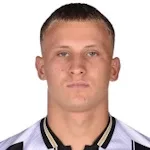 D. Pejičić