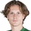 D. Stradiņš