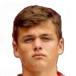 D. Visinský