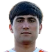 E. Papikyan
