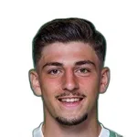 F. Demir