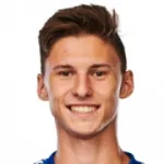 F. Slavíček