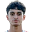 H. Pahlevanyan