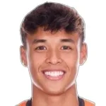 Ilhan Fandi