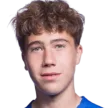 J. Driessen
