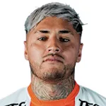 J. Gaete