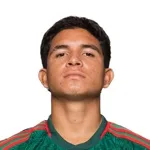 J. Suárez