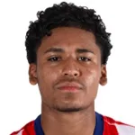 J. Villal