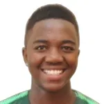 K. Dhlamini