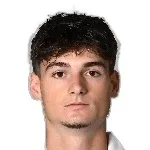 L. Bittarelli