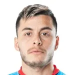 L. Parisi