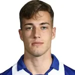 L. Sučić