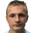 M. Mehl