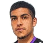 N. Araya