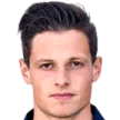 N. Mestdagh