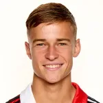 N. Naujoks