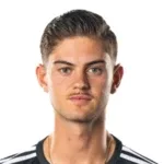 Nico van Rijn