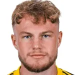 P. Fahrner