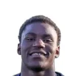 P. Ndinga Ossibadjouo
