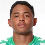 Pedrinho