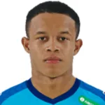 Pedro Henrique