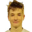 R. Leppik