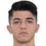 Ş. Dik