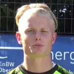 T. Stelzl