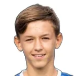 Tarik Brkic