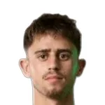 Tomer Lannes Arbel