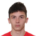 V. Bolotnikov