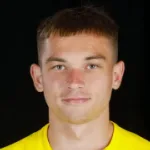 V. Gorokh