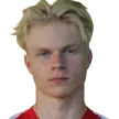 V. Johansson