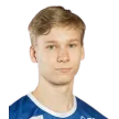 V. Nikulainen