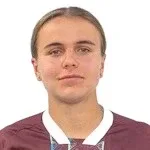 V. Valyuk