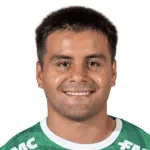 Y. Arismendi