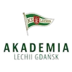 Akademia Piłkarska LG W logo
