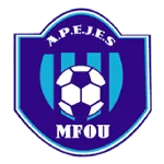 APEJES Academy logo