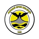 Arhavispor logo